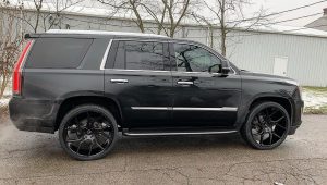 ESCALADE – DILIJAN