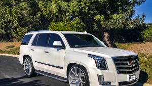 ESCALADE – DILIJAN