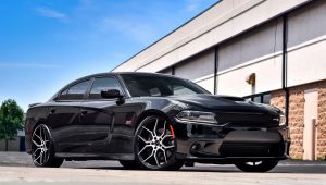 DODGE CHARGER – GIOVANNA HALEB