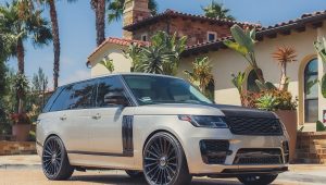 Range Rover – Urfa