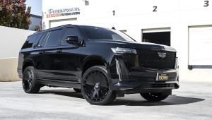 Escalade – Dicotto