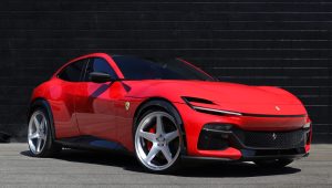 Purosangue – Cinque